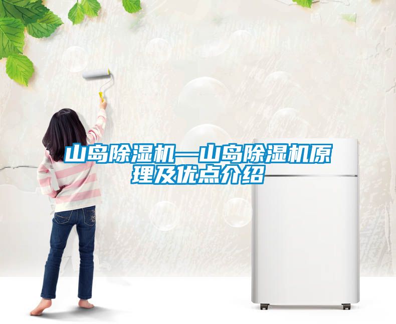 山島除濕機—山島除濕機原理及優(yōu)點(diǎn)介紹