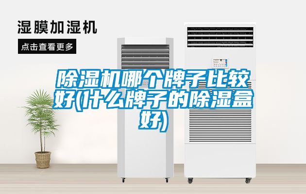 除濕機哪個(gè)牌子比較好(什么牌子的除濕盒好)