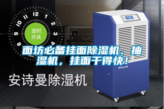 面坊必備掛面除濕機、抽濕機，掛面干得快！