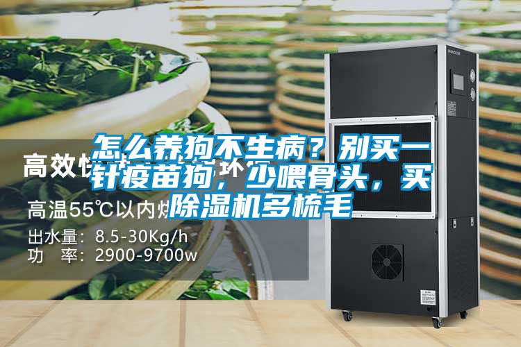怎么養狗不生??？別買(mǎi)一針疫苗狗，少喂骨頭，買(mǎi)除濕機多梳毛