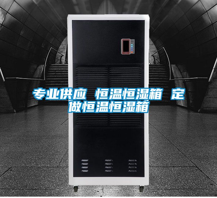 專(zhuān)業(yè)供應 恒溫恒濕箱 定做恒溫恒濕箱