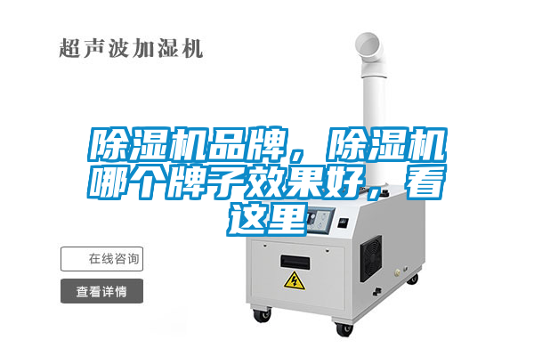 除濕機品牌，除濕機哪個(gè)牌子效果好，看這里