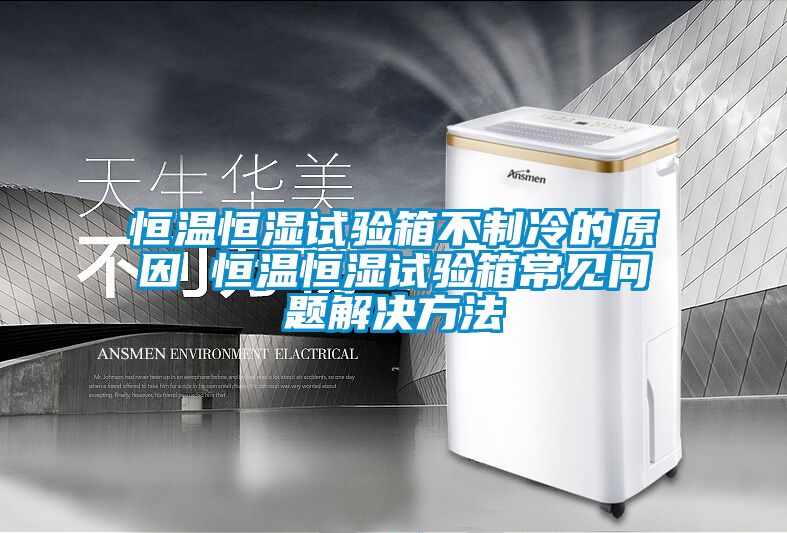 恒溫恒濕試驗箱不制冷的原因 恒溫恒濕試驗箱常見(jiàn)問(wèn)題解決方法