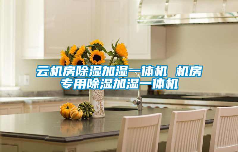 云機房除濕加濕一體機 機房專(zhuān)用除濕加濕一體機