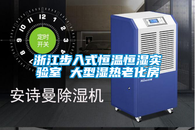 浙江步入式恒溫恒濕實(shí)驗室 大型濕熱老化房