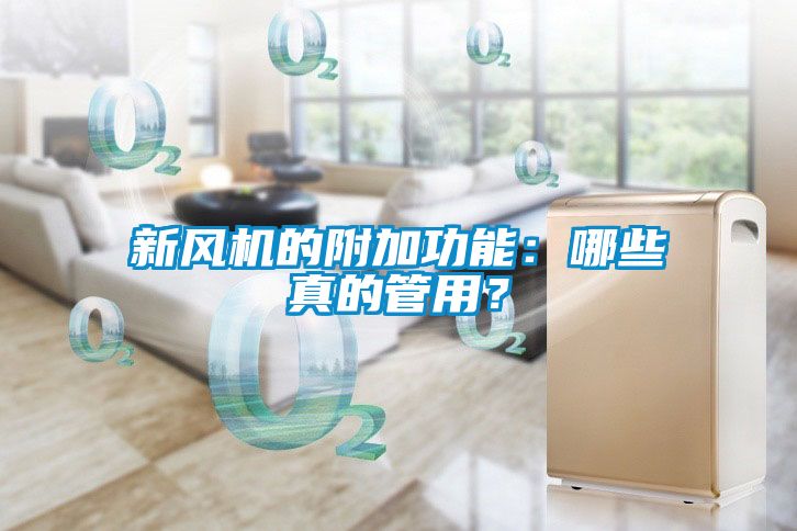 新風(fēng)機的附加功能：哪些真的管用？