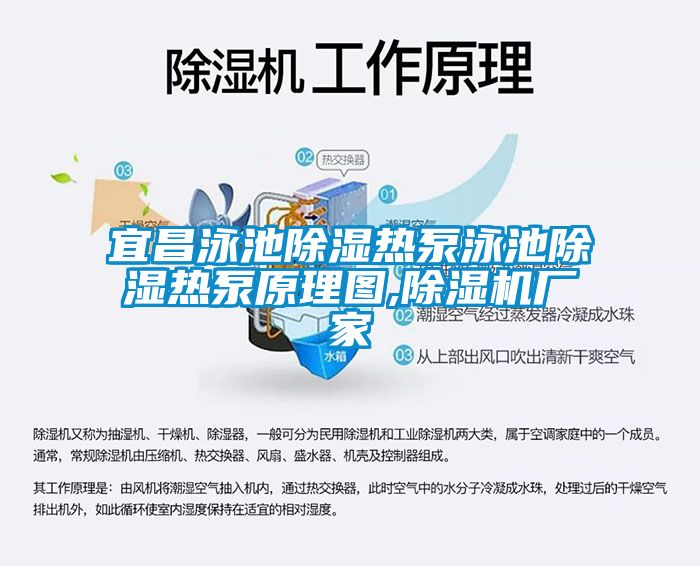 宜昌泳池除濕熱泵泳池除濕熱泵原理圖,除濕機廠(chǎng)家
