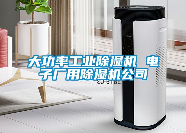 大功率工業(yè)除濕機 電子廠(chǎng)用除濕機公司