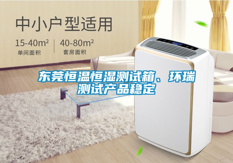 東莞恒溫恒濕測試箱、環(huán)瑞測試產(chǎn)品穩定