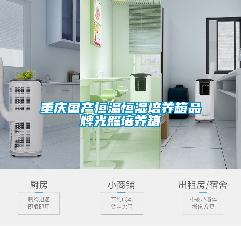 重慶國產(chǎn)恒溫恒濕培養箱品牌光照培養箱