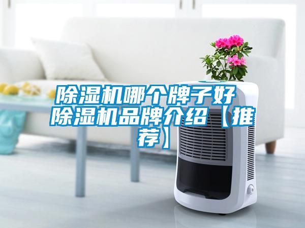 除濕機哪個(gè)牌子好 除濕機品牌介紹【推薦】