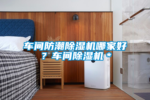 車(chē)間防潮除濕機哪家好？車(chē)間除濕機＊