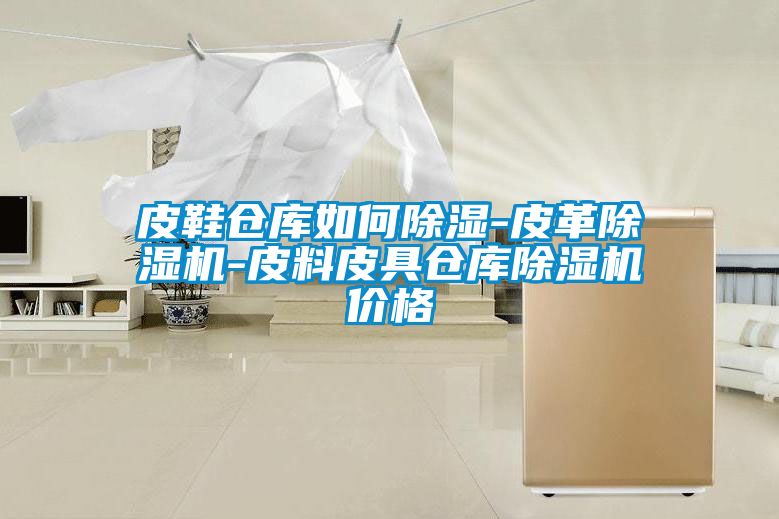 皮鞋倉庫如何除濕-皮革除濕機-皮料皮具倉庫除濕機價(jià)格
