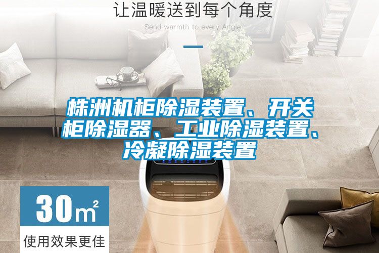 株洲機柜除濕裝置、開(kāi)關(guān)柜除濕器、工業(yè)除濕裝置、冷凝除濕裝置