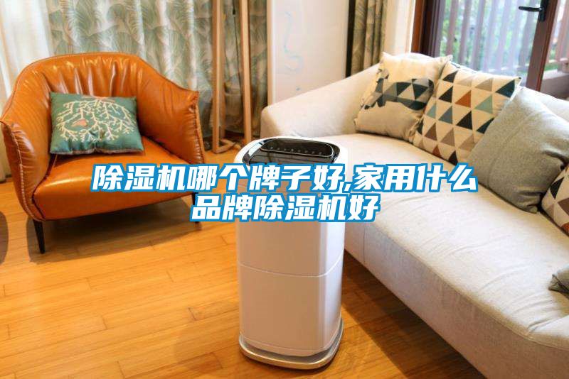 除濕機哪個(gè)牌子好,家用什么品牌除濕機好
