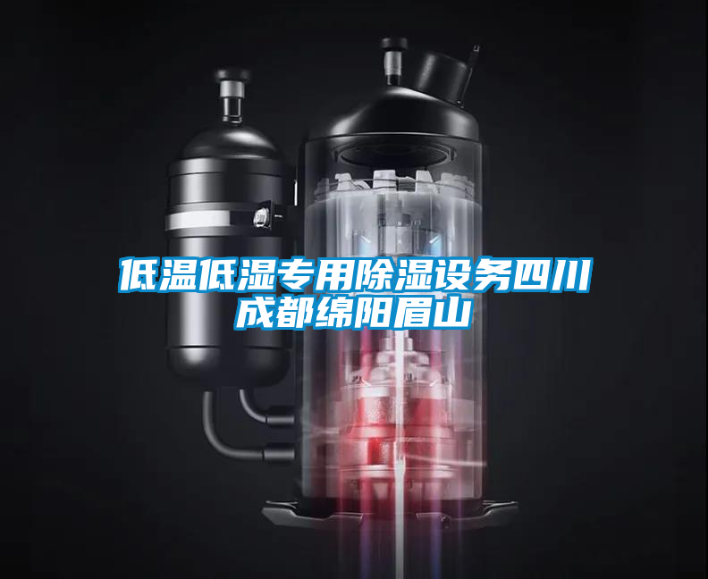 低溫低濕專(zhuān)用除濕設務(wù)四川成都綿陽(yáng)眉山