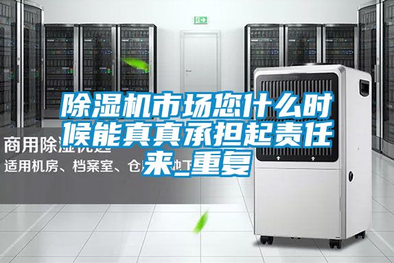 除濕機市場(chǎng)您什么時(shí)候能真真承擔起責任來(lái)_重復