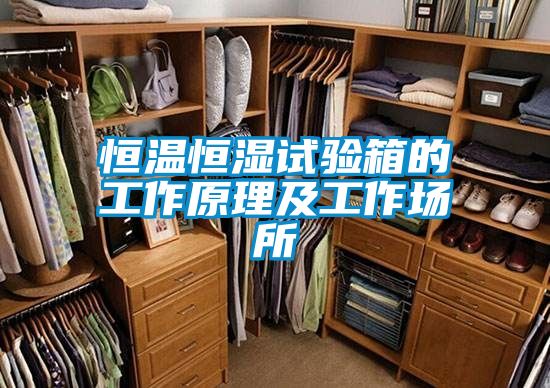 恒溫恒濕試驗箱的工作原理及工作場(chǎng)所