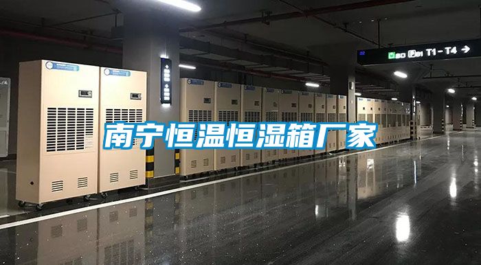 南寧恒溫恒濕箱廠(chǎng)家