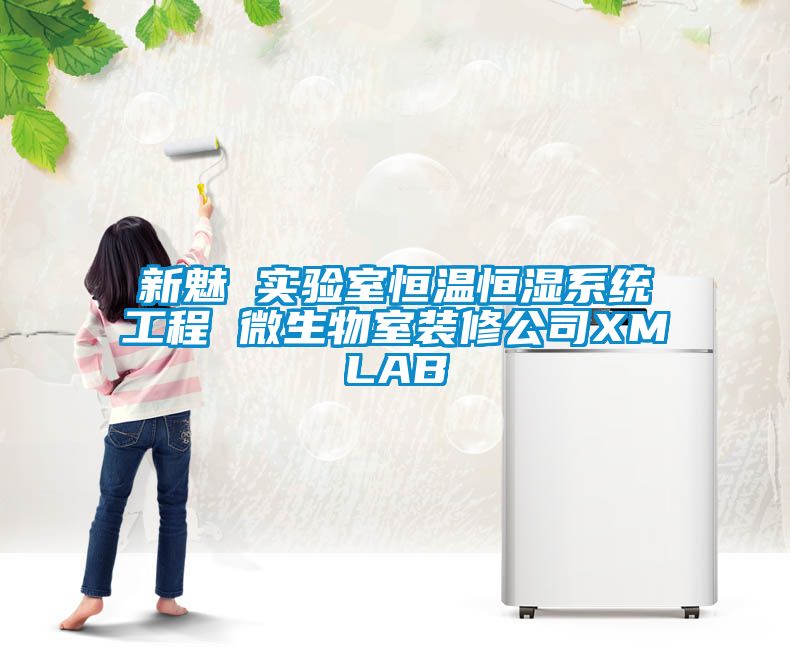 新魅 實(shí)驗室恒溫恒濕系統工程 微生物室裝修公司XMLAB