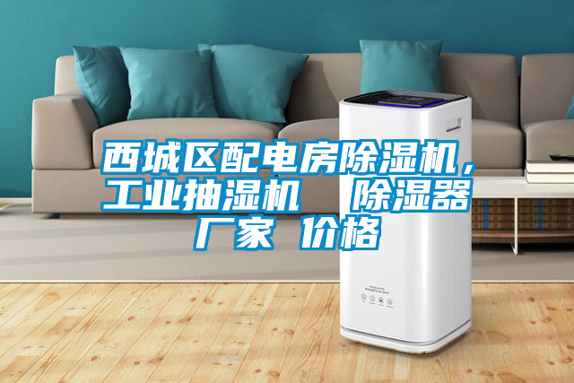 西城區配電房除濕機，工業(yè)抽濕機  除濕器廠(chǎng)家 價(jià)格