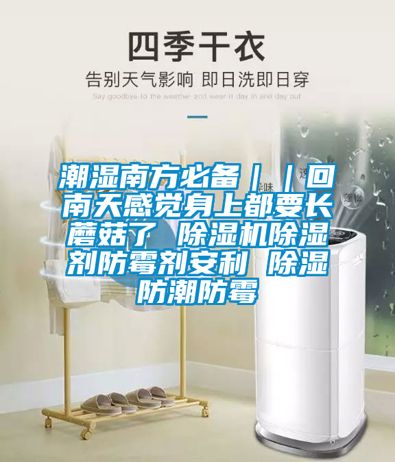 潮濕南方必備｜｜回南天感覺(jué)身上都要長(cháng)蘑菇了 除濕機除濕劑防霉劑安利 除濕防潮防霉