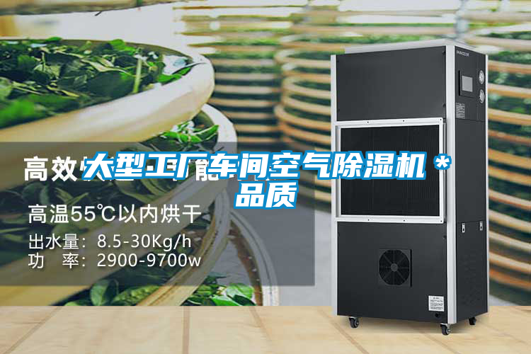 大型工廠(chǎng)車(chē)間空氣除濕機＊品質(zhì)