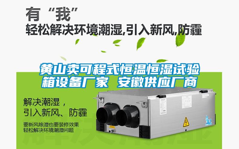 黃山賣(mài)可程式恒溫恒濕試驗箱設備廠(chǎng)家 安徽供應廠(chǎng)商