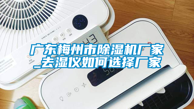 廣東梅州市除濕機廠(chǎng)家_去濕儀如何選擇廠(chǎng)家