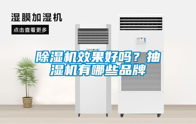 除濕機效果好嗎？抽濕機有哪些品牌