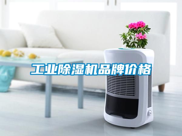工業(yè)除濕機品牌價(jià)格
