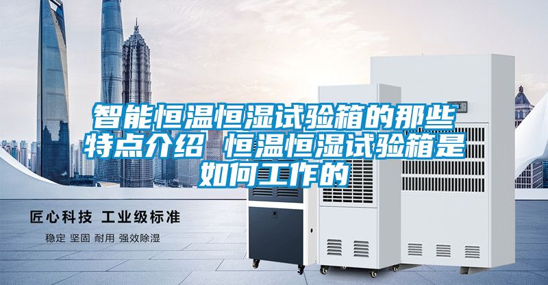 智能恒溫恒濕試驗箱的那些特點(diǎn)介紹 恒溫恒濕試驗箱是如何工作的