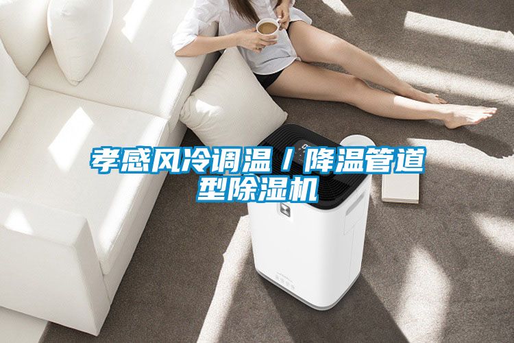 孝感風(fēng)冷調溫／降溫管道型除濕機