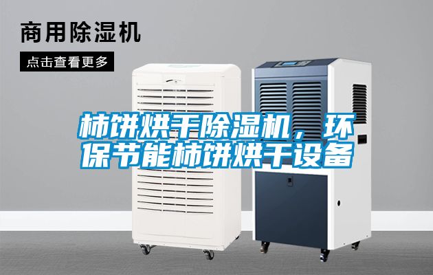 柿餅烘干除濕機，環(huán)保節能柿餅烘干設備