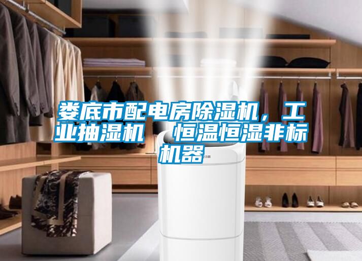 婁底市配電房除濕機，工業(yè)抽濕機  恒溫恒濕非標機器