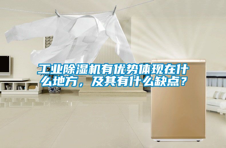 工業(yè)除濕機有優(yōu)勢體現在什么地方，及其有什么缺點(diǎn)？