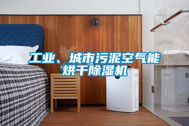 工業(yè)、城市污泥空氣能烘干除濕機