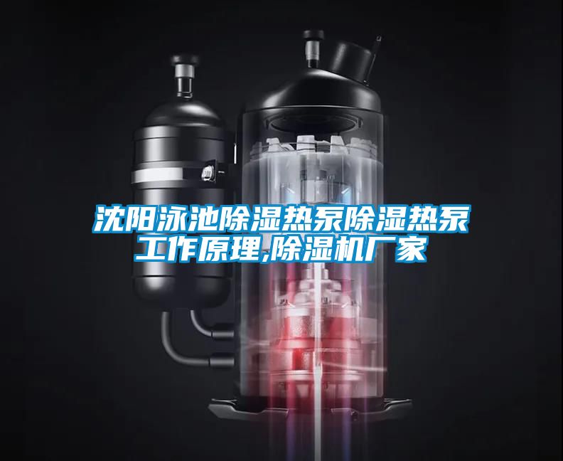 沈陽(yáng)泳池除濕熱泵除濕熱泵工作原理,除濕機廠(chǎng)家