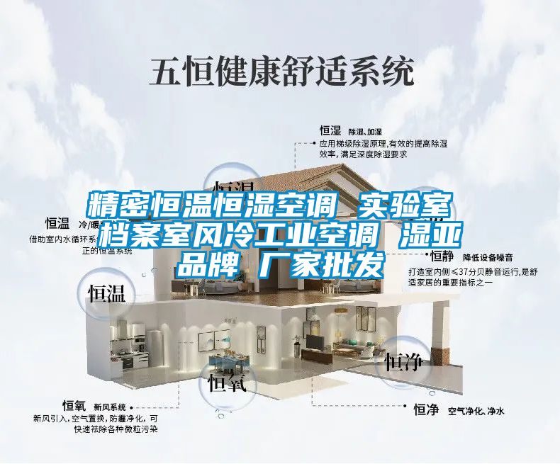 精密恒溫恒濕空調 實(shí)驗室 檔案室風(fēng)冷工業(yè)空調 濕亞品牌 廠(chǎng)家批發(fā)