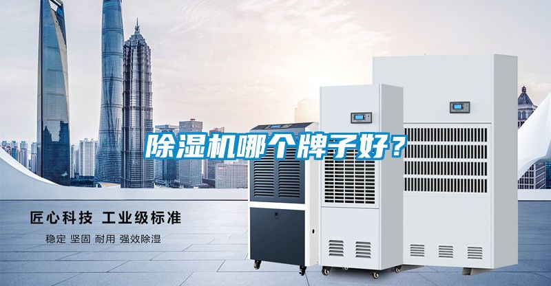 除濕機哪個(gè)牌子好？