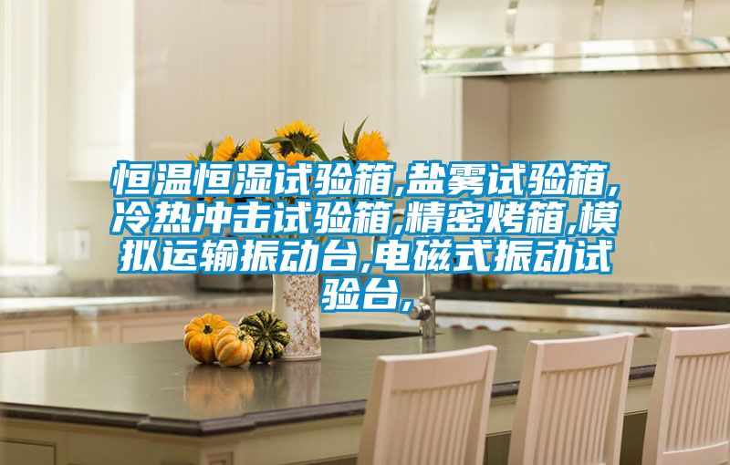 恒溫恒濕試驗箱,鹽霧試驗箱,冷熱沖擊試驗箱,精密烤箱,模擬運輸振動(dòng)臺,電磁式振動(dòng)試驗臺,