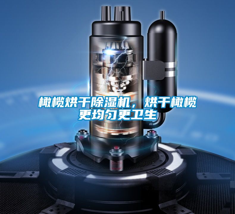 橄欖烘干除濕機，烘干橄欖更均勻更衛生