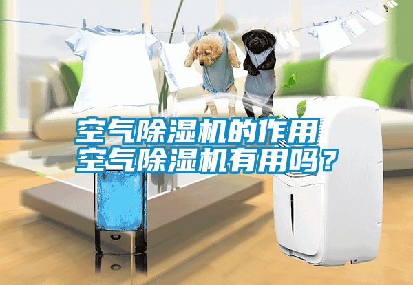 空氣除濕機的作用 空氣除濕機有用嗎？