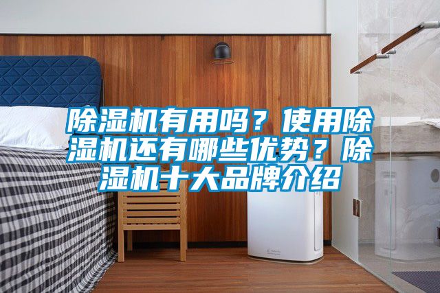 除濕機有用嗎？使用除濕機還有哪些優(yōu)勢？除濕機十大品牌介紹