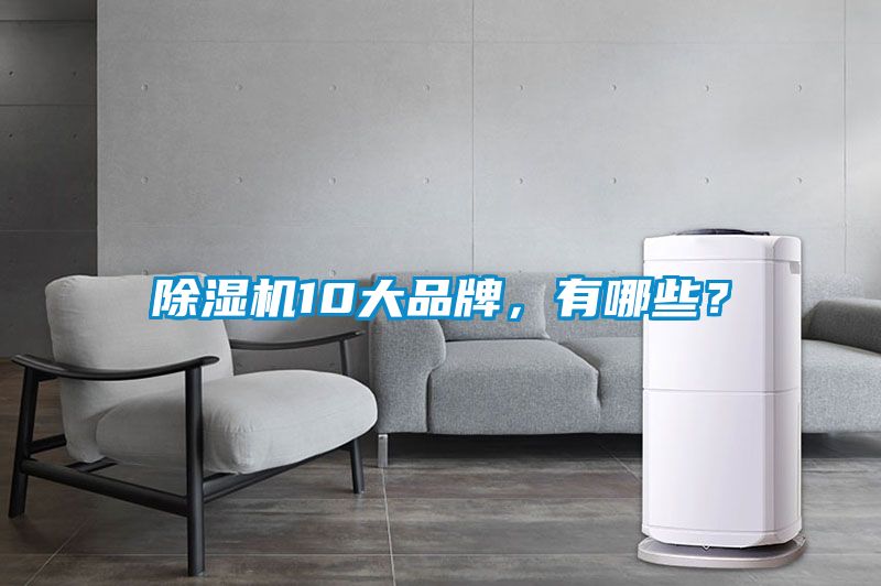 除濕機10大品牌，有哪些？