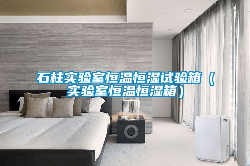 石柱實(shí)驗室恒溫恒濕試驗箱（實(shí)驗室恒溫恒濕箱）