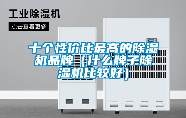 十個(gè)性?xún)r(jià)比最高的除濕機品牌（什么牌子除濕機比較好）