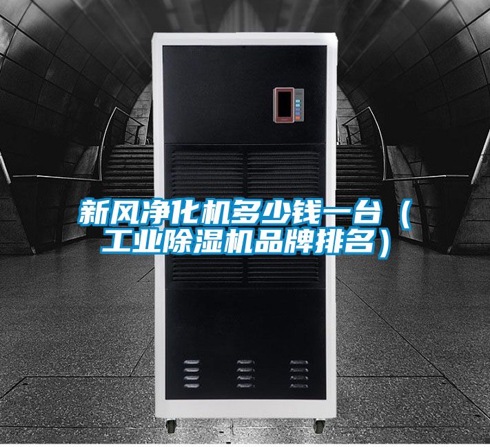 新風(fēng)凈化機多少錢(qián)一臺（工業(yè)除濕機品牌排名）