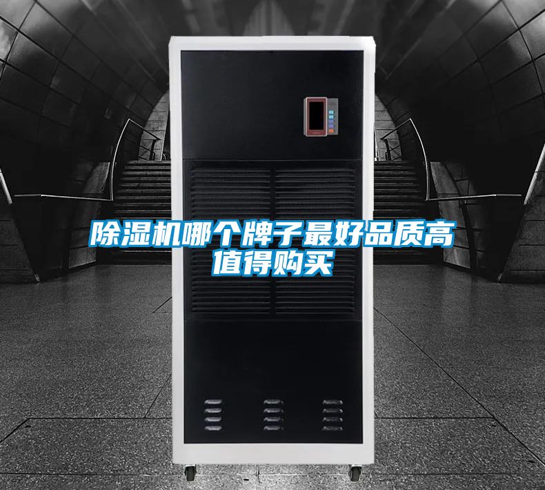 除濕機哪個(gè)牌子最好品質(zhì)高值得購買(mǎi)