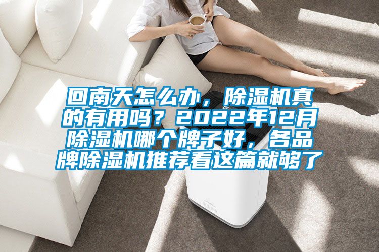 回南天怎么辦，除濕機真的有用嗎？2022年12月除濕機哪個(gè)牌子好，各品牌除濕機推薦看這篇就夠了